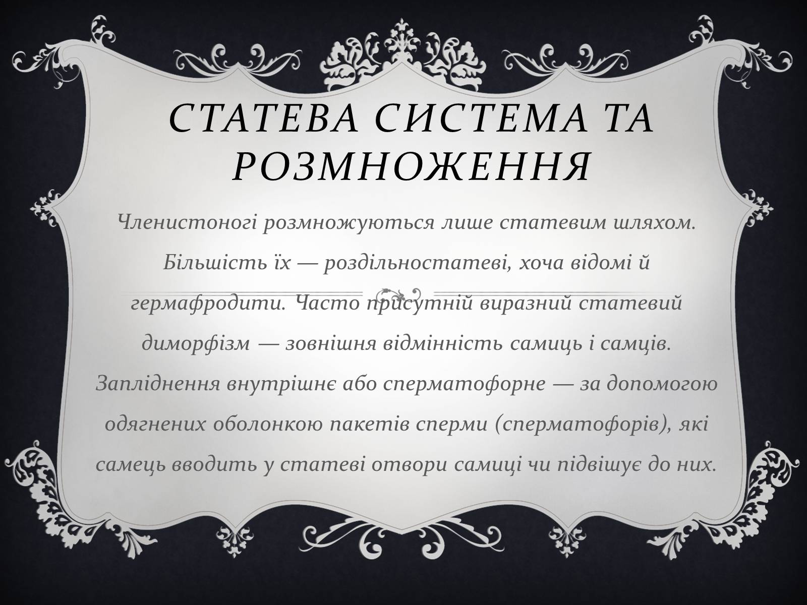 Презентація на тему «Членистоногі» (варіант 1) - Слайд #19