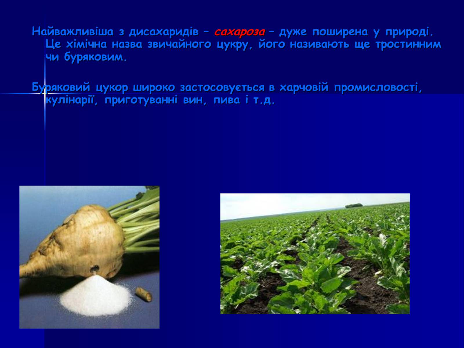 Презентація на тему «Вуглеводи як компоненти їжі, їх роль у житті людини» (варіант 19) - Слайд #7