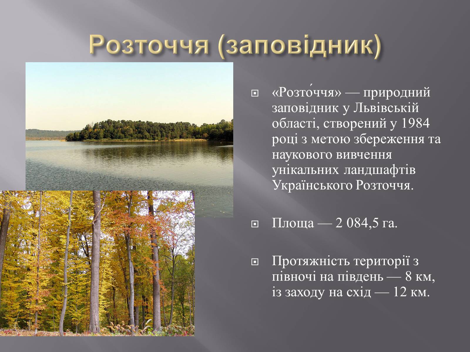 Презентація на тему «Біорізноманіття» (варіант 3) - Слайд #24