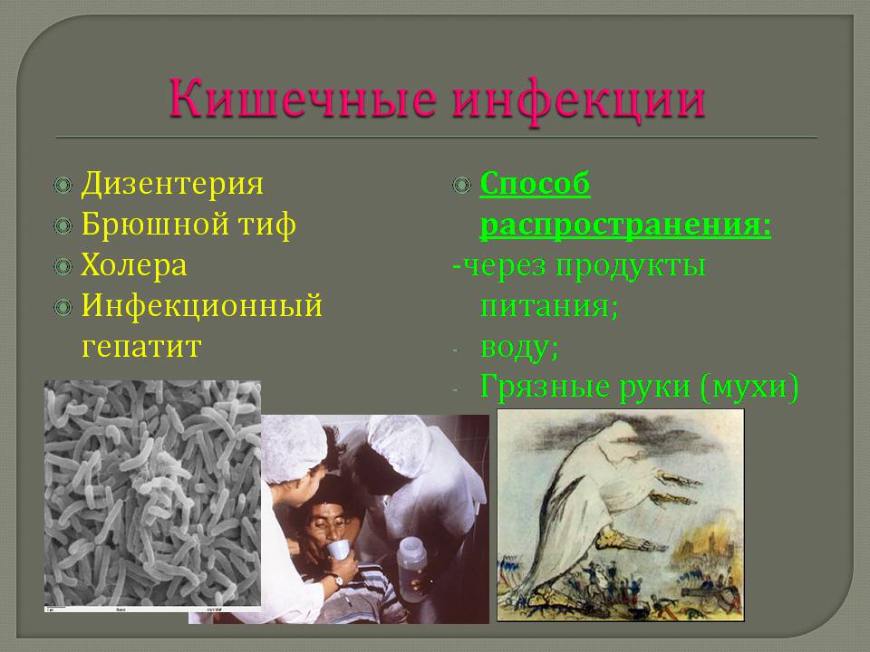 Презентація на тему «Инфекционные заболевания и их профилактика» - Слайд #5