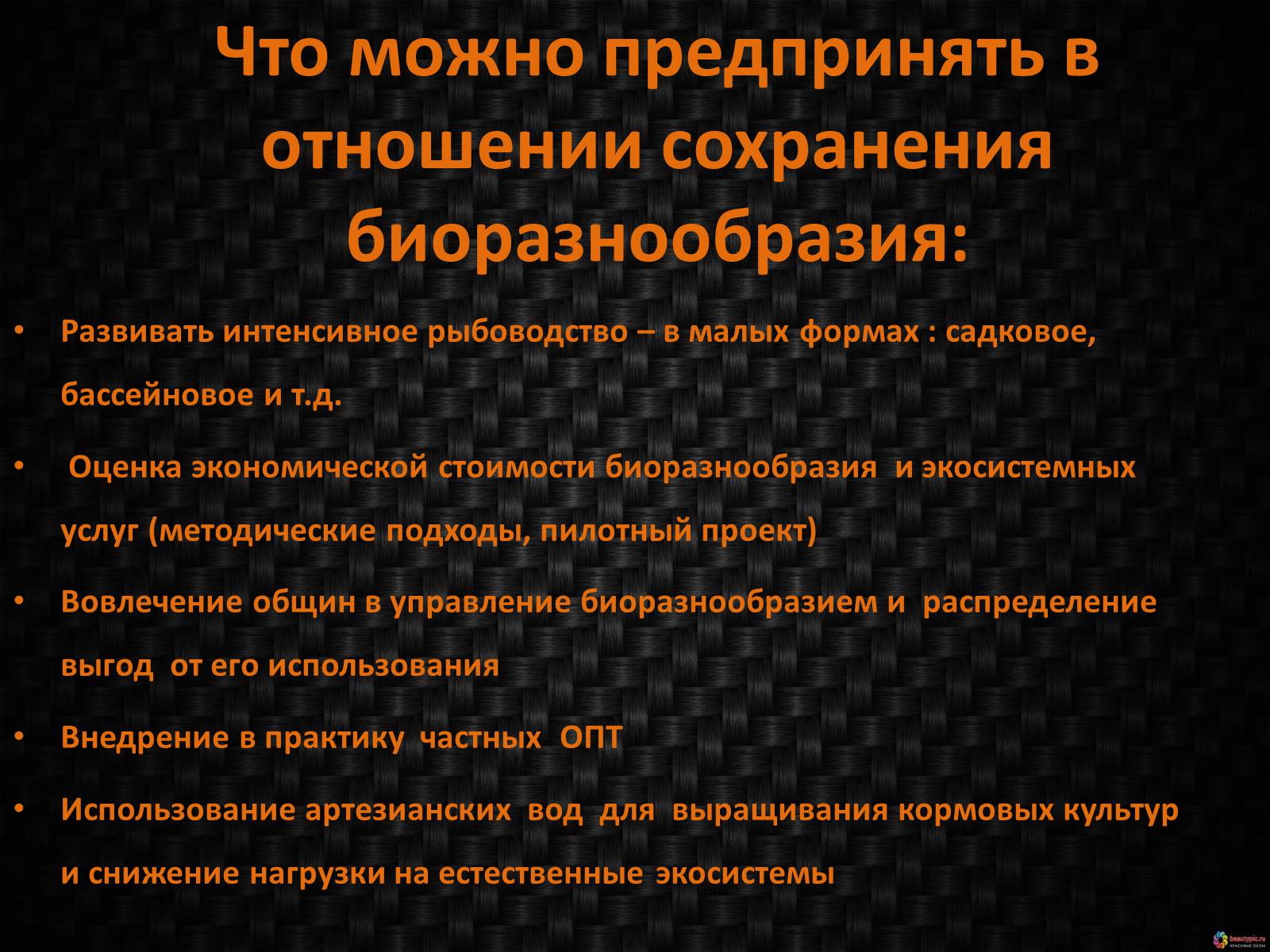 Презентація на тему «Генетическое видовое и экосистемное биоразнообразие» - Слайд #10