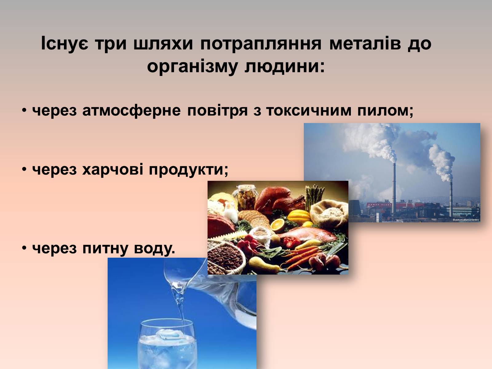 Презентація на тему «Вплив металів на організм людини» - Слайд #2