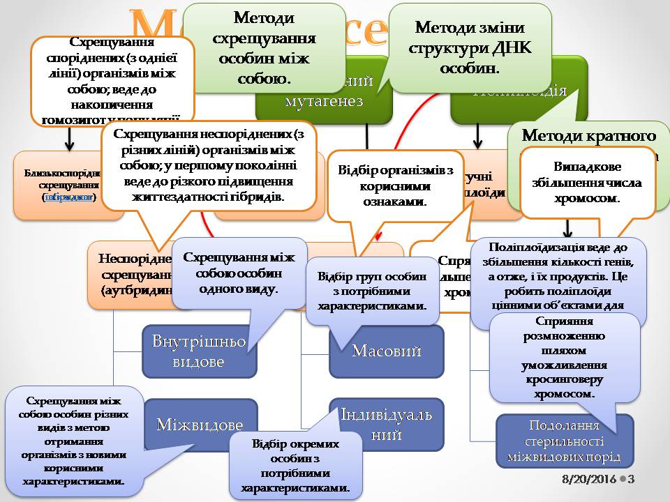 Презентація на тему «Генетичні основи селекції організмів» (варіант 2) - Слайд #3