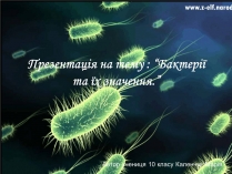 Презентація на тему «Бактерії та їх значення»