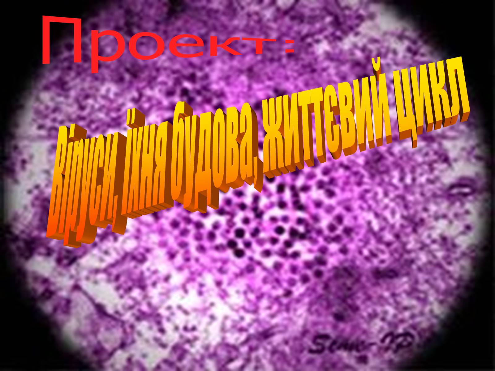 Презентація на тему «Віруси, їхня будова, життєвий цикл» (варіант 1) - Слайд #1