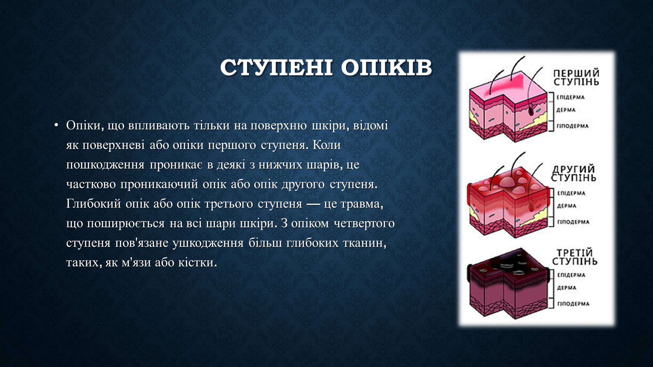 Презентація на тему «Опіки та отруєння організму людини» - Слайд #8