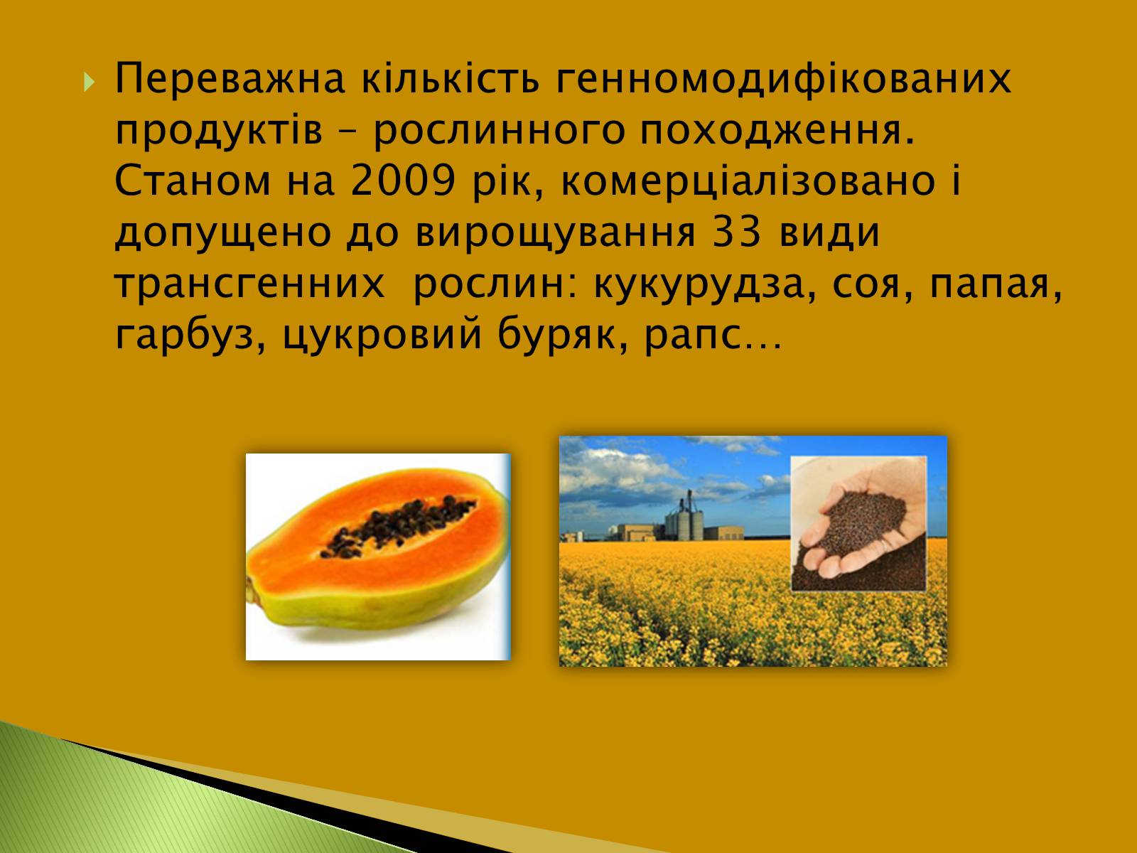 Презентація на тему «Трансгенні та химерні організми» (варіант 3) - Слайд #15