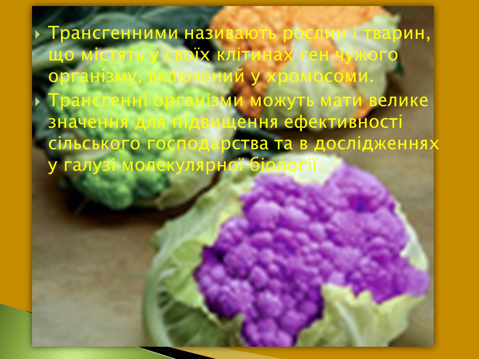 Презентація на тему «Трансгенні та химерні організми» (варіант 3) - Слайд #2