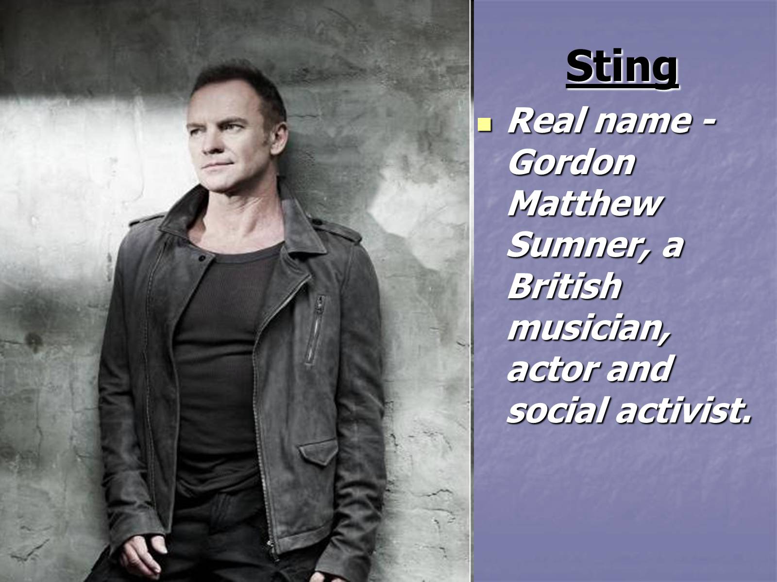 Презентація на тему «Sting» - Слайд #2