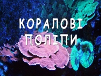 Презентація на тему «Коралові поліпи»