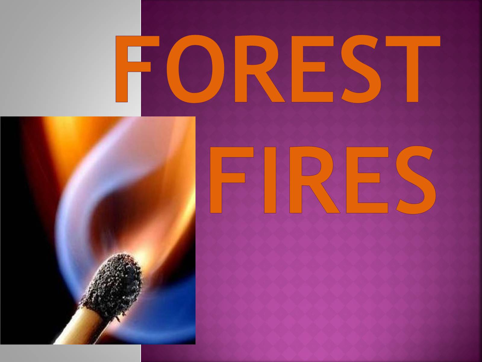 Презентація на тему «Forest fire» (варіант 2) - Слайд #1
