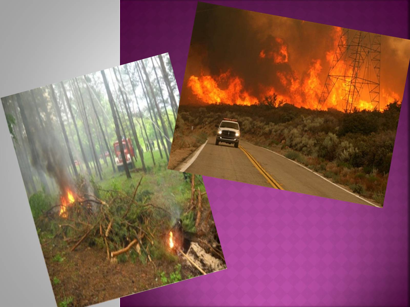 Презентація на тему «Forest fire» (варіант 2) - Слайд #4