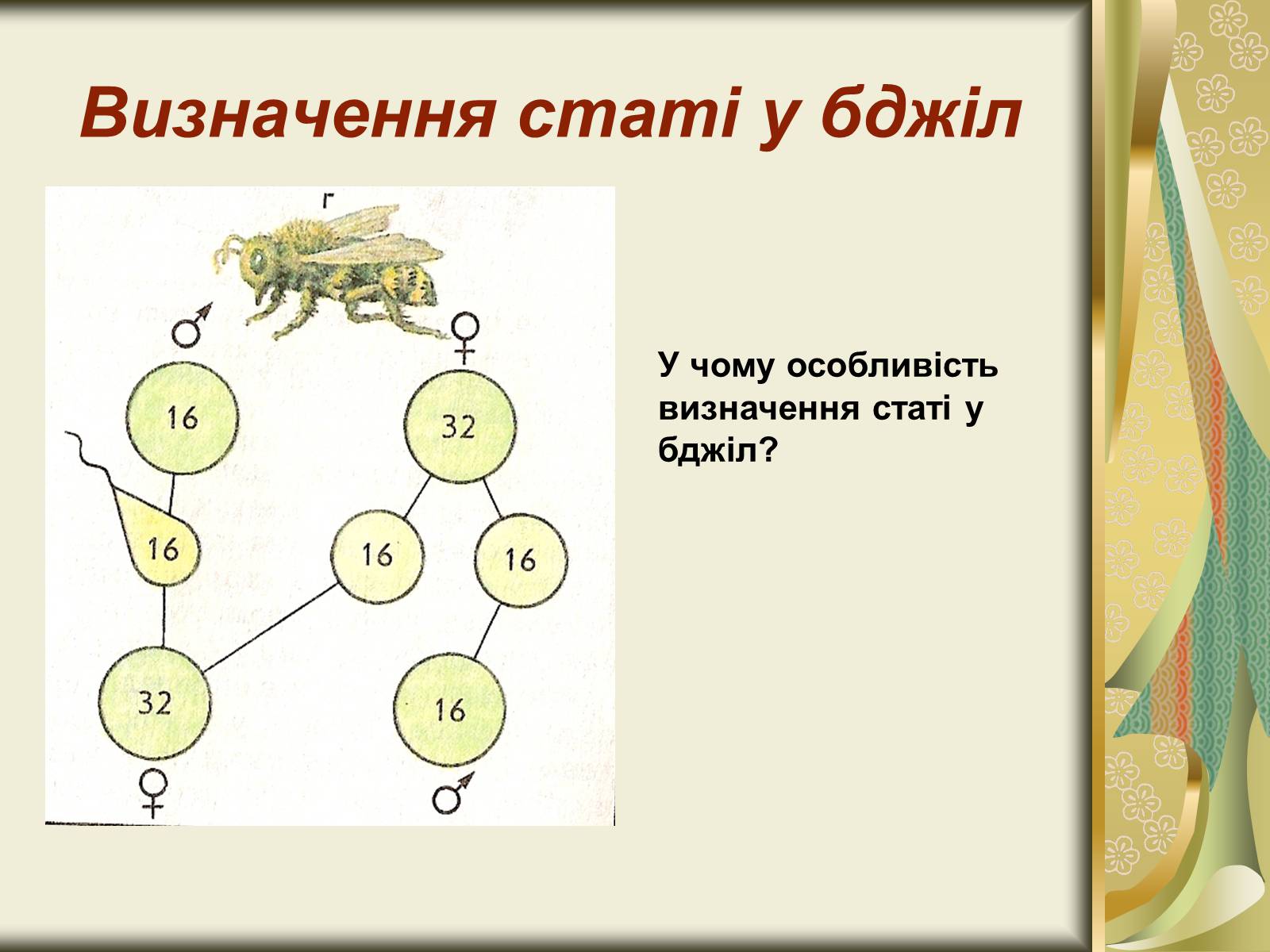 Презентація на тему «Генетика статі» - Слайд #9