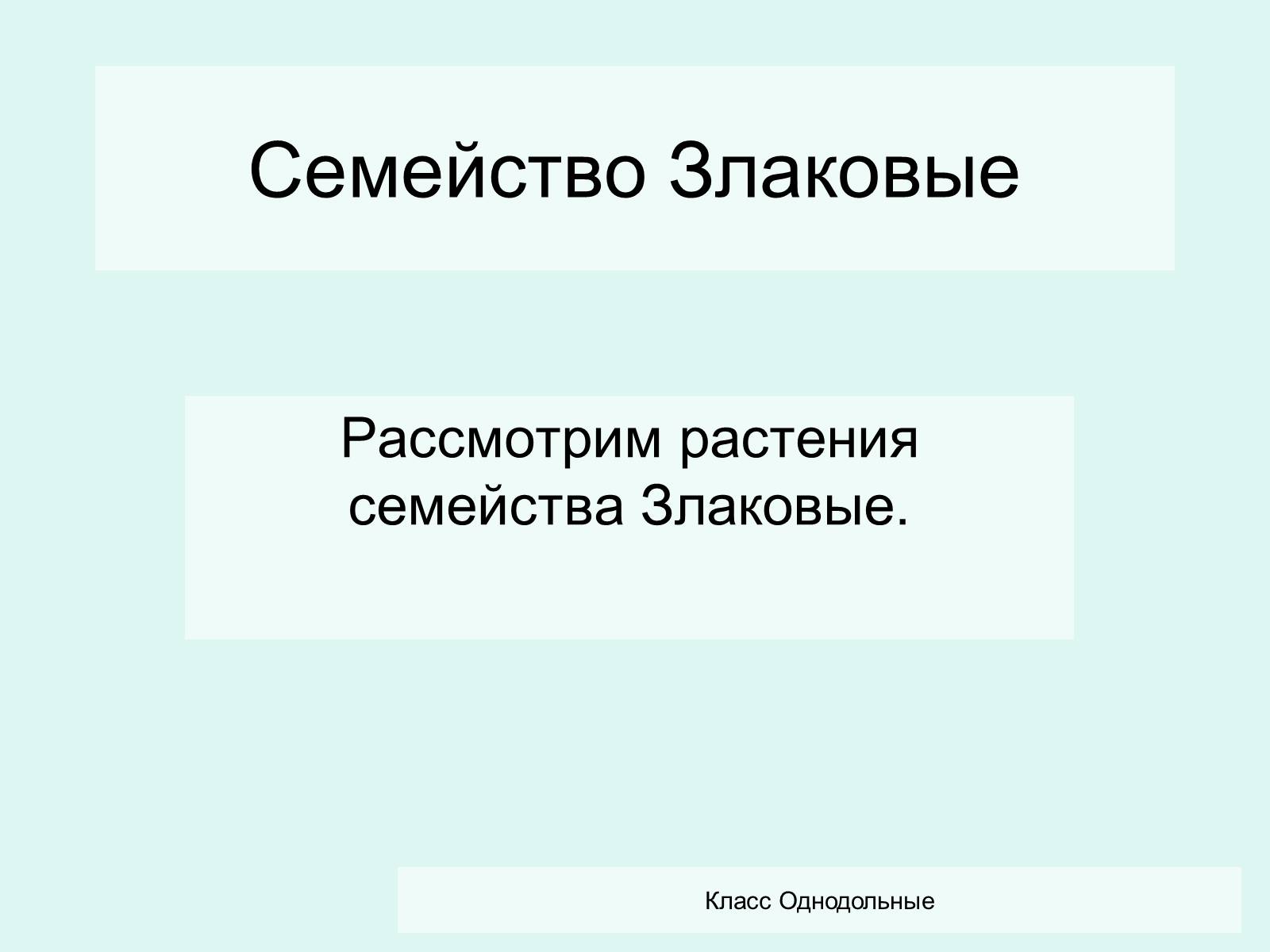 Презентація на тему «Семейство Злаковые» - Слайд #2