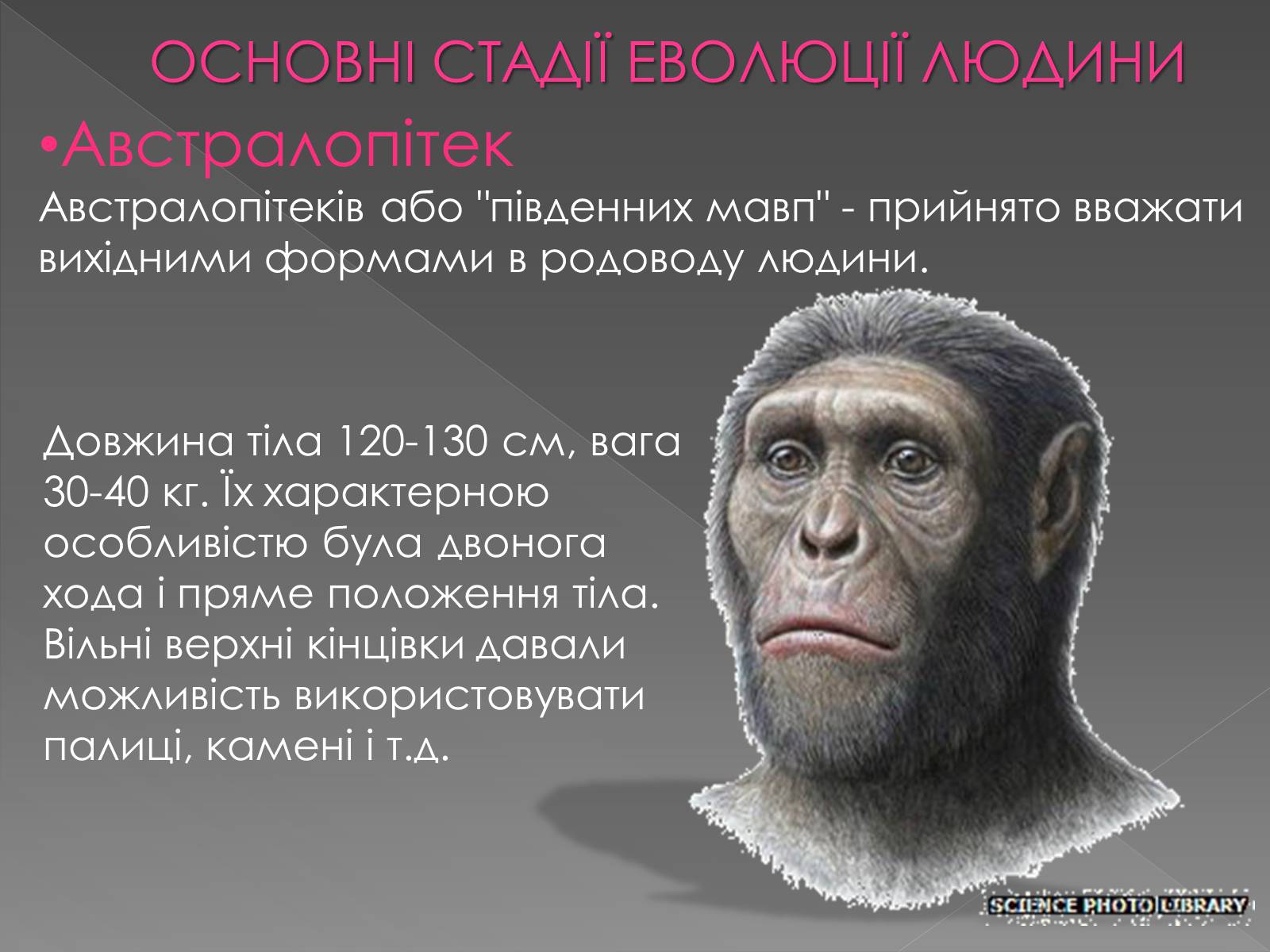 Презентація на тему «Теорії походження людини» (варіант 1) - Слайд #6