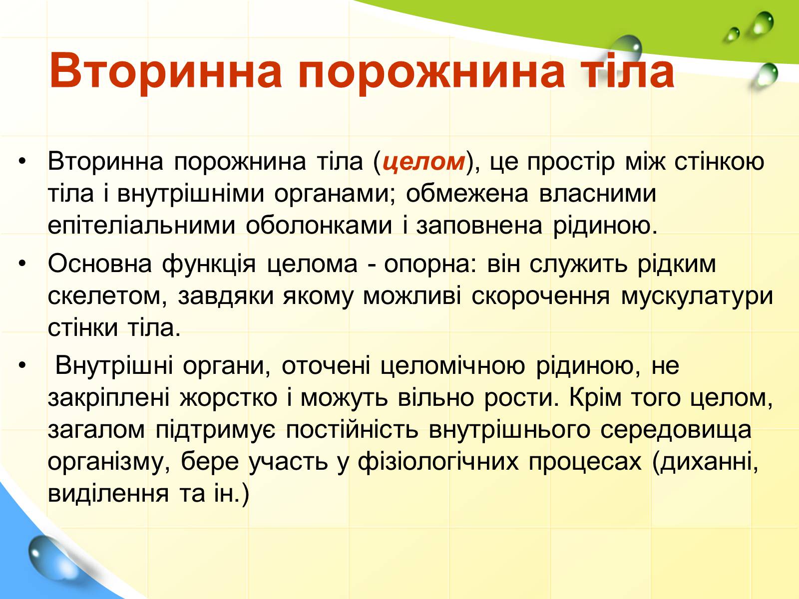 Презентація на тему «Порожнини тіла тварин» - Слайд #11