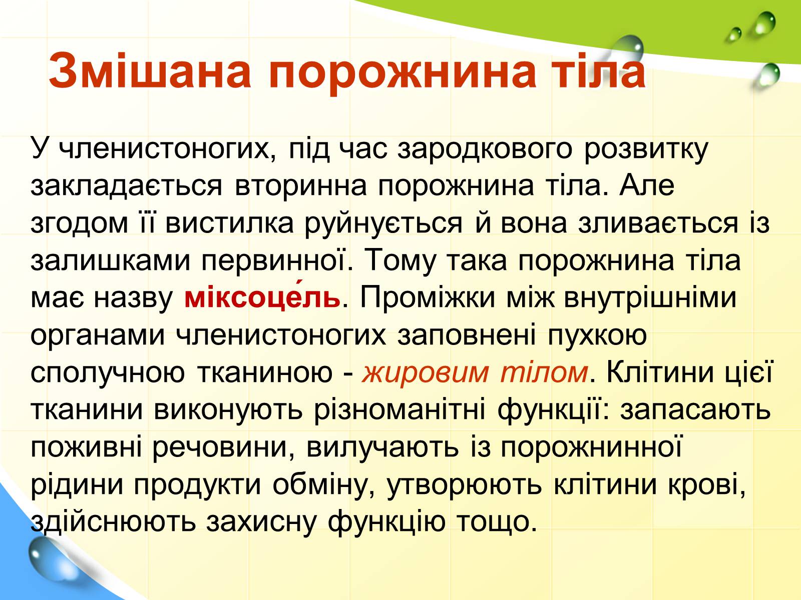 Презентація на тему «Порожнини тіла тварин» - Слайд #9