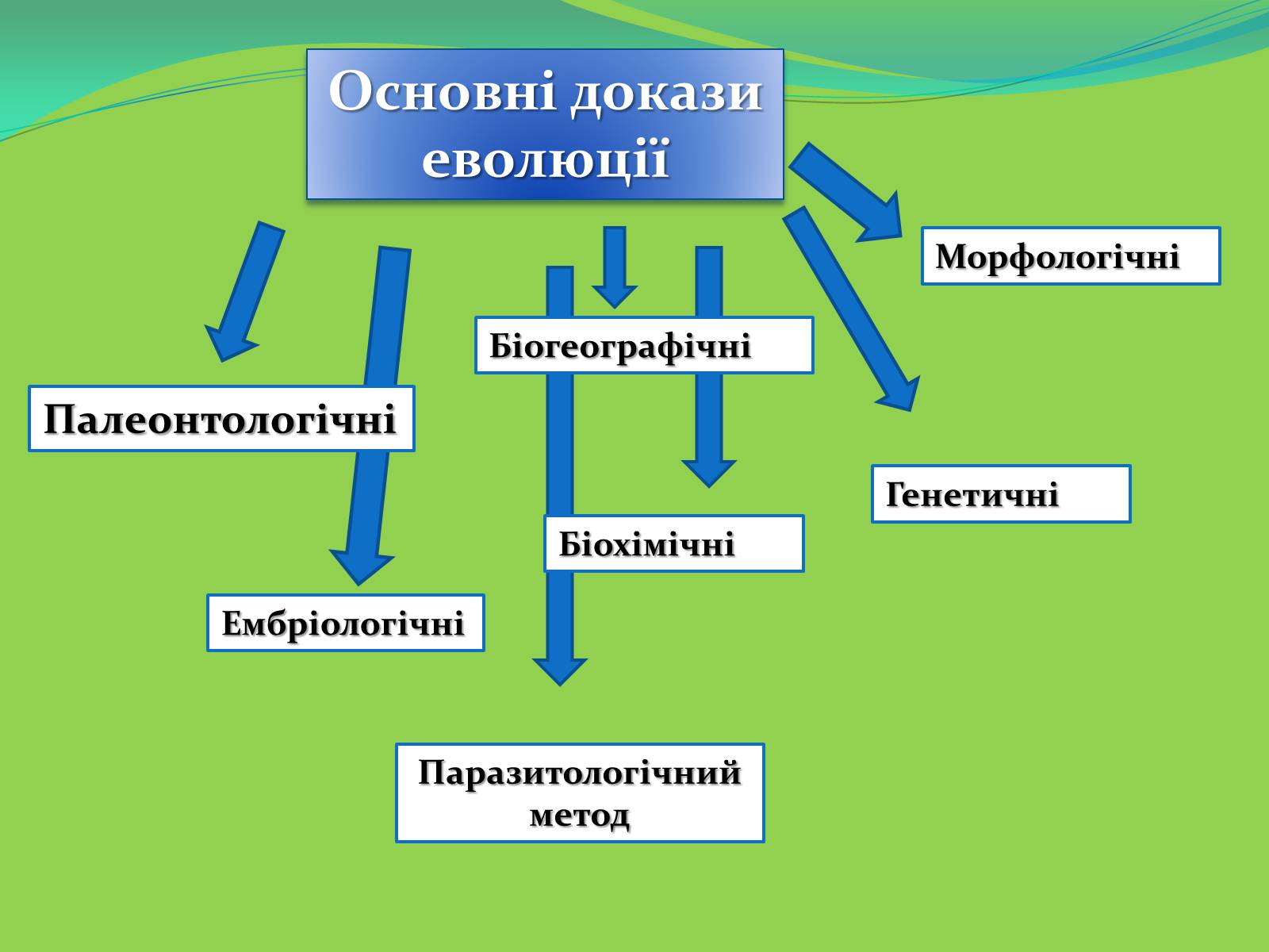 Презентація на тему «Докази еволюції» - Слайд #2