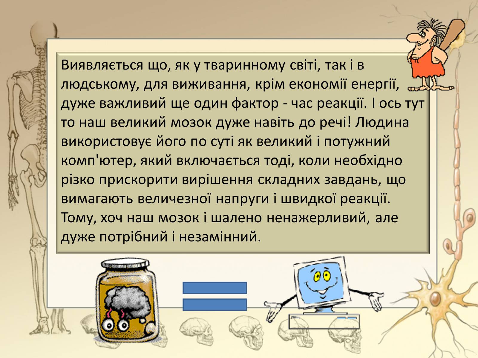 Презентація на тему «Будова і функції головного мозку. Загальна характеристика» - Слайд #14