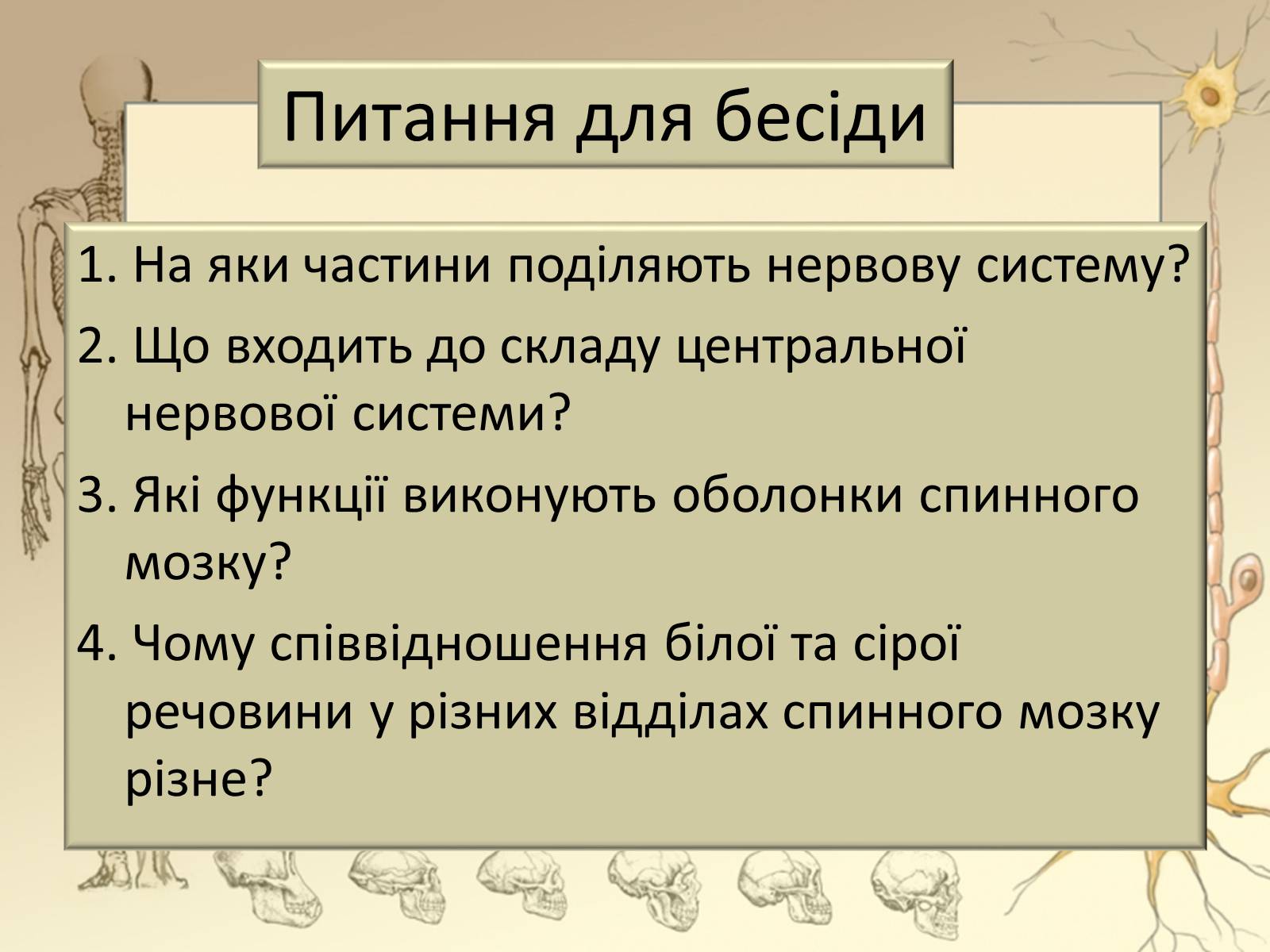 Презентація на тему «Будова і функції головного мозку. Загальна характеристика» - Слайд #2