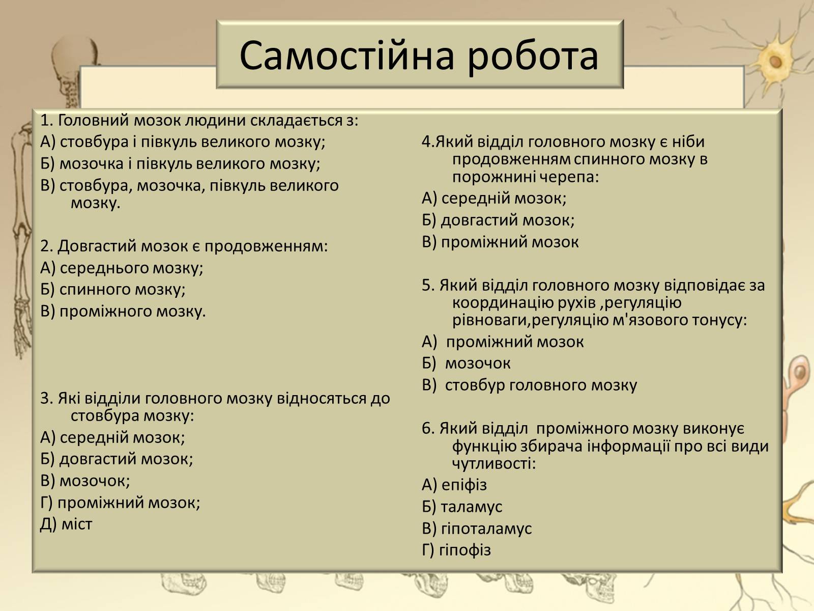 Презентація на тему «Будова і функції головного мозку. Загальна характеристика» - Слайд #37