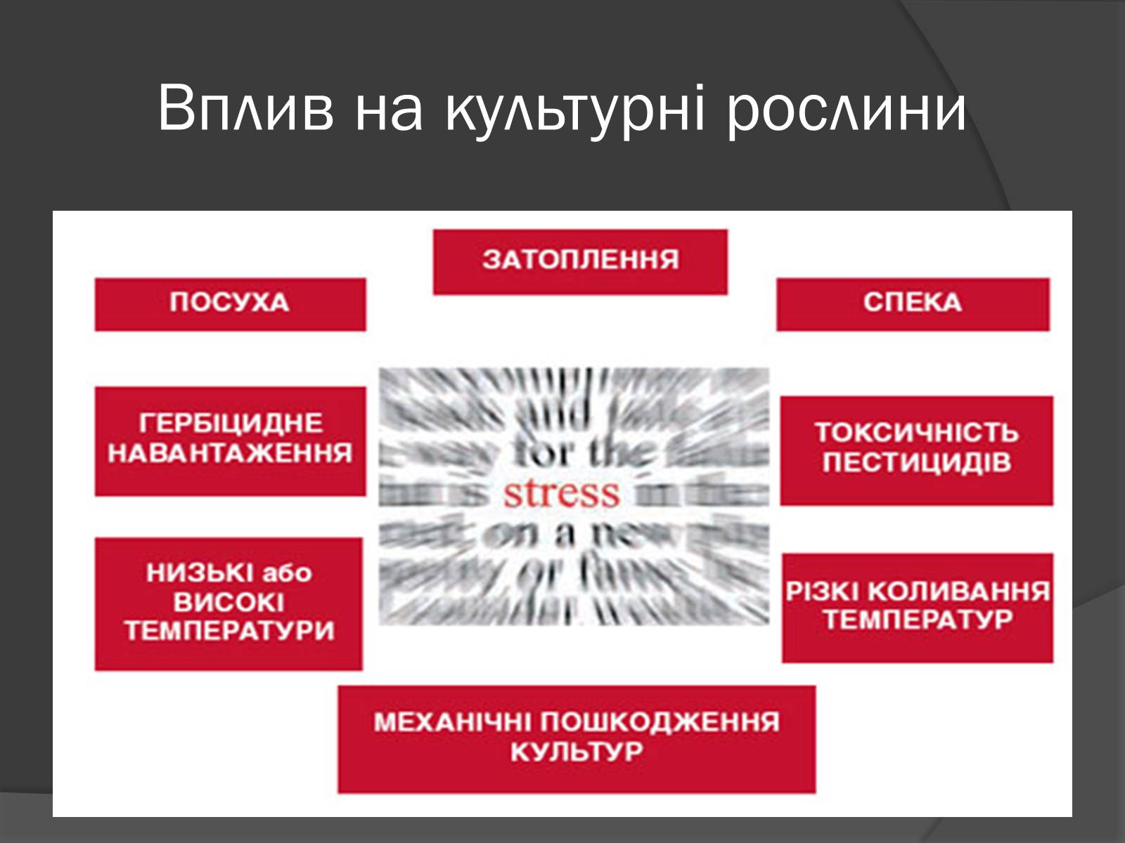 Презентація на тему «Центри різноманітності та походження культурних рослин» - Слайд #12