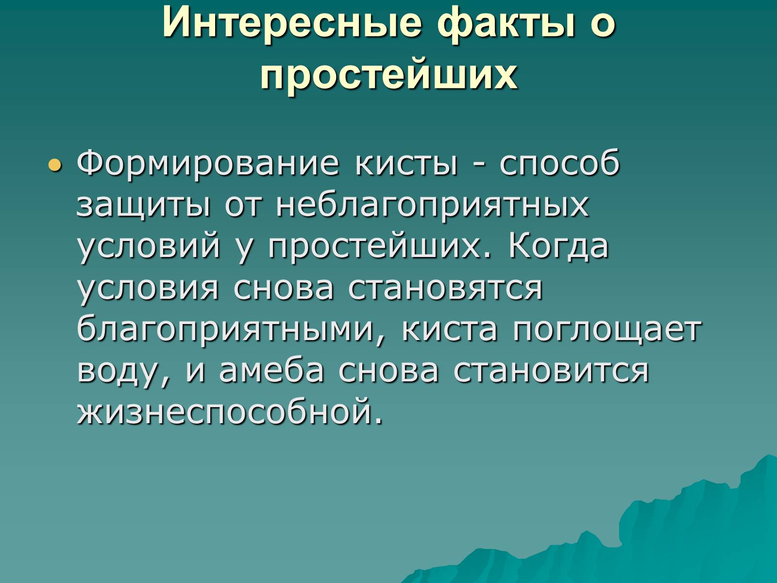 Презентація на тему «Одноклеточные животные или Простейшие» - Слайд #12