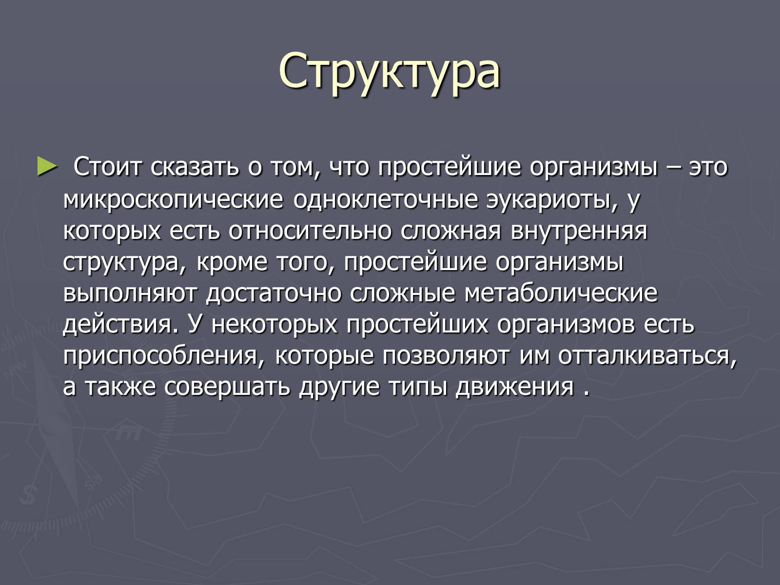 Презентація на тему «Одноклеточные животные или Простейшие» - Слайд #7