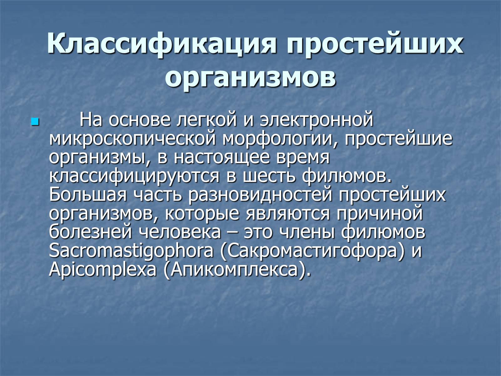 Презентація на тему «Одноклеточные животные или Простейшие» - Слайд #9