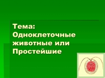 Презентація на тему «Одноклеточные животные или Простейшие»