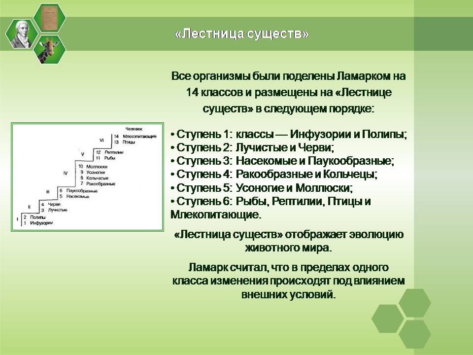 Презентація на тему «Жан Батист Ламарк» (варіант 2) - Слайд #16