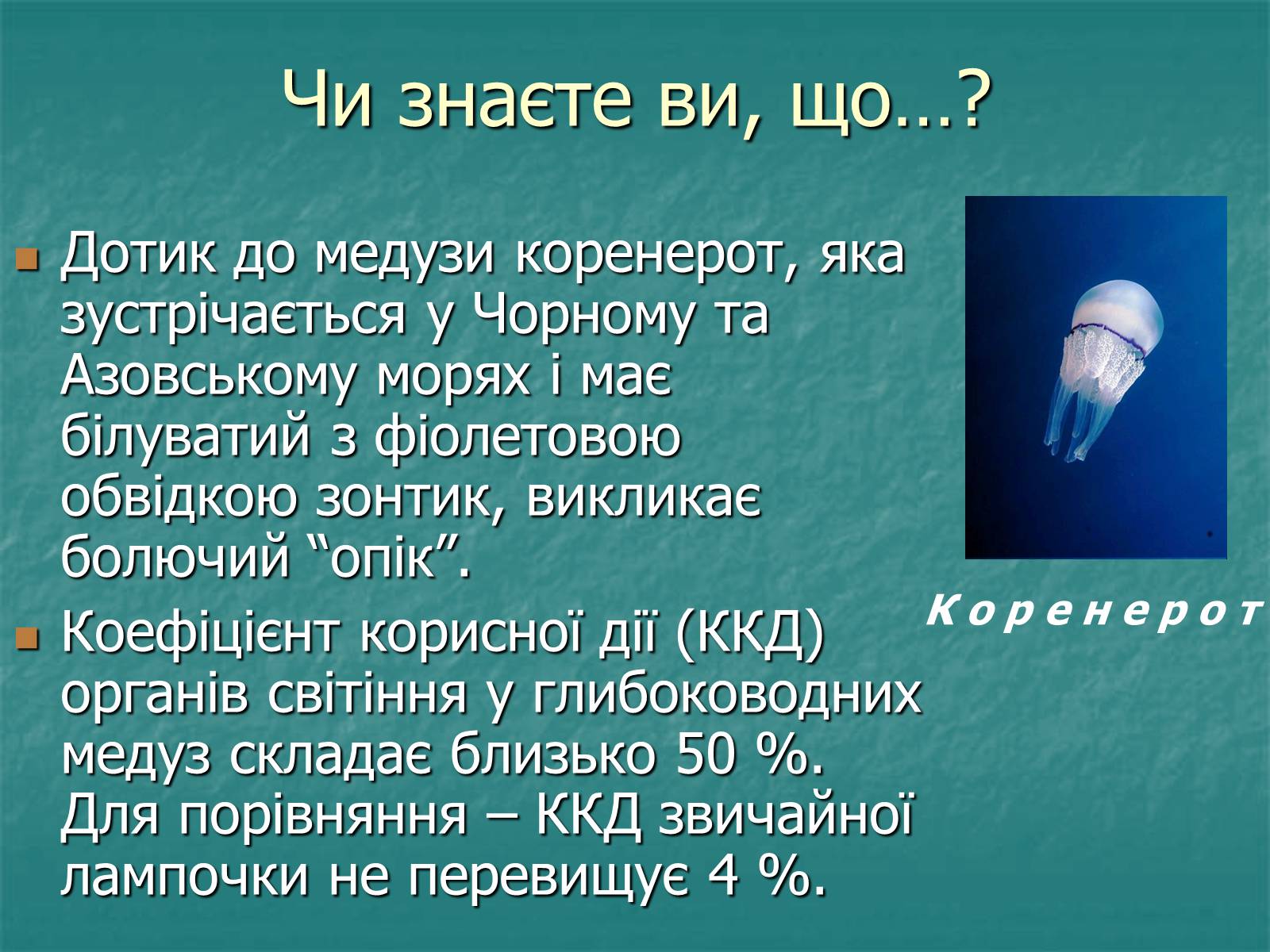 Презентація на тему «Найпростіші багатоклітинні тварини» - Слайд #14