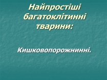 Презентація на тему «Найпростіші багатоклітинні тварини»