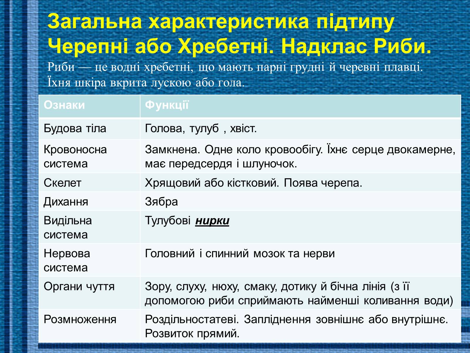 Презентація на тему «Хрящові риби» (варіант 1) - Слайд #4