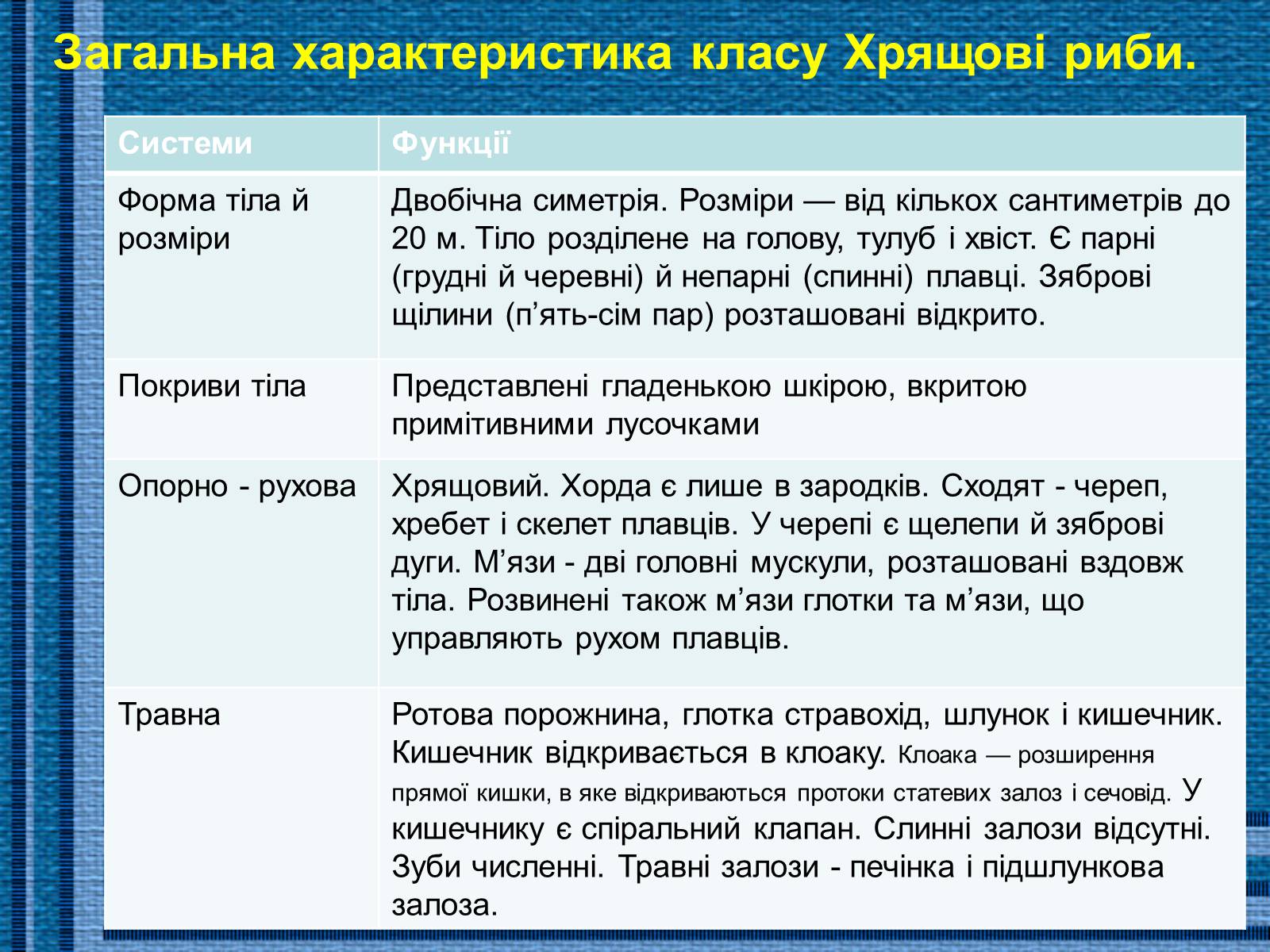 Презентація на тему «Хрящові риби» (варіант 1) - Слайд #7