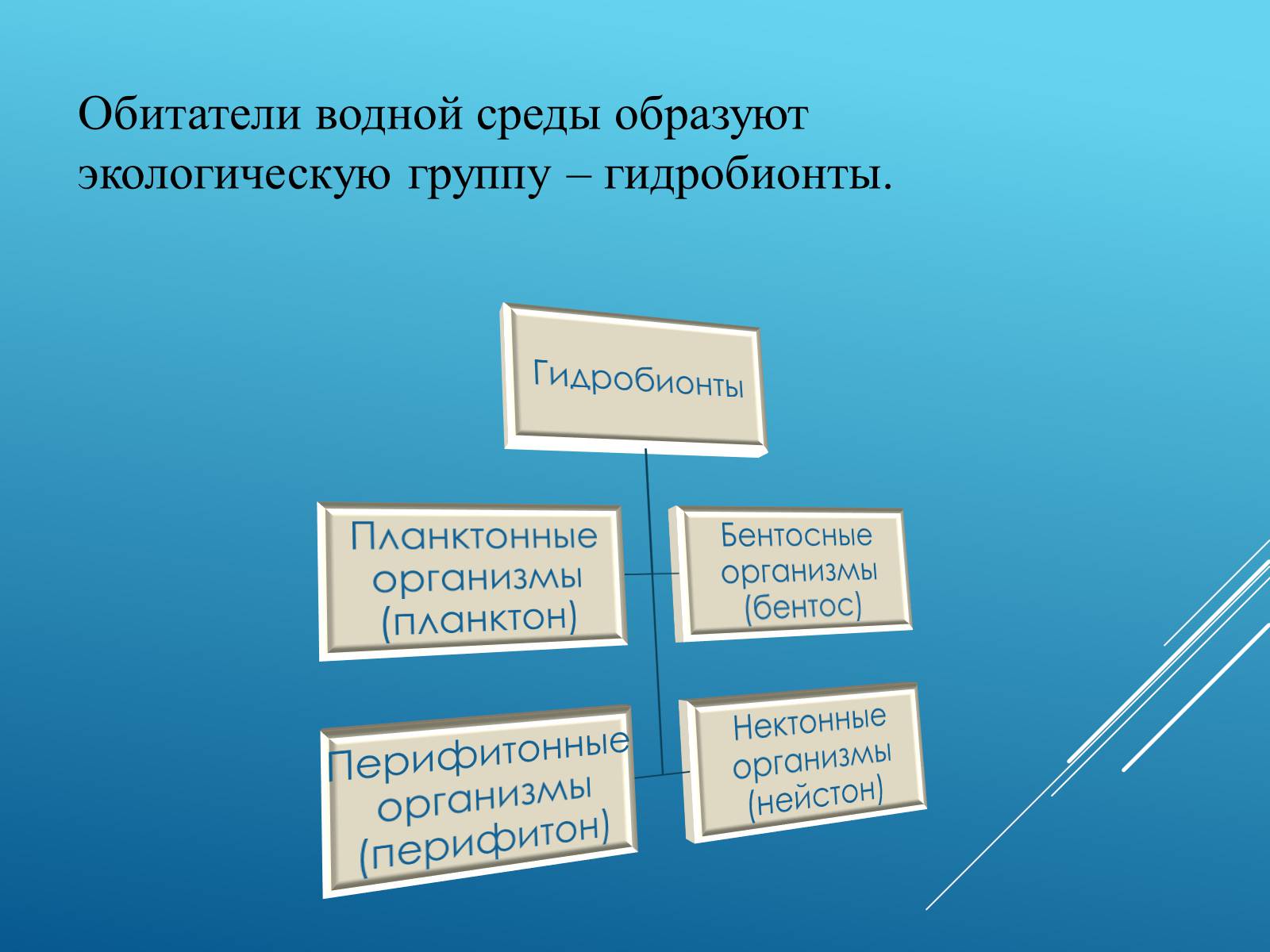 Презентація на тему «Адаптация организмов к жизни в водной среде» - Слайд #5