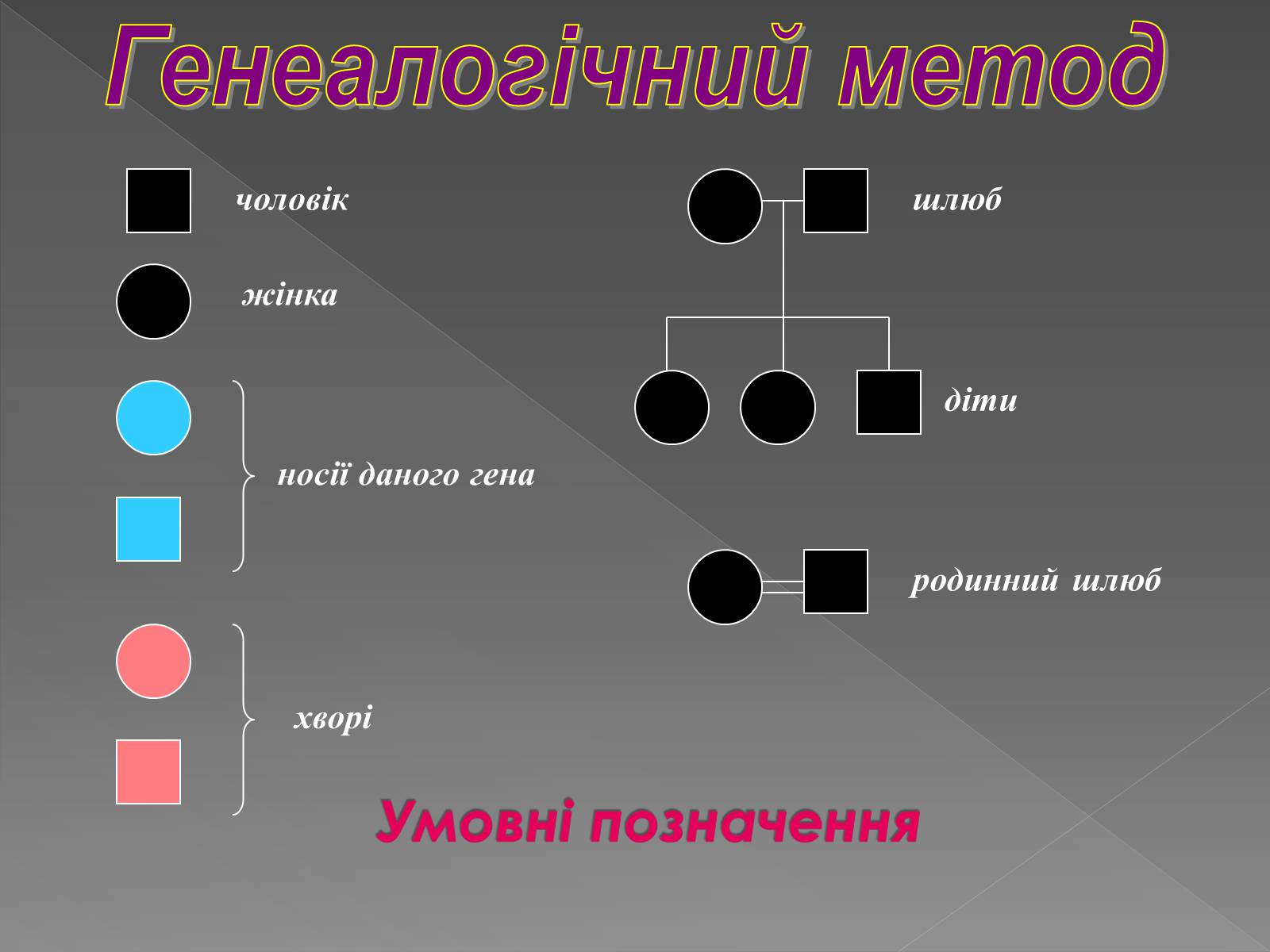 Презентація на тему «Генетика людини» (варіант 2) - Слайд #9