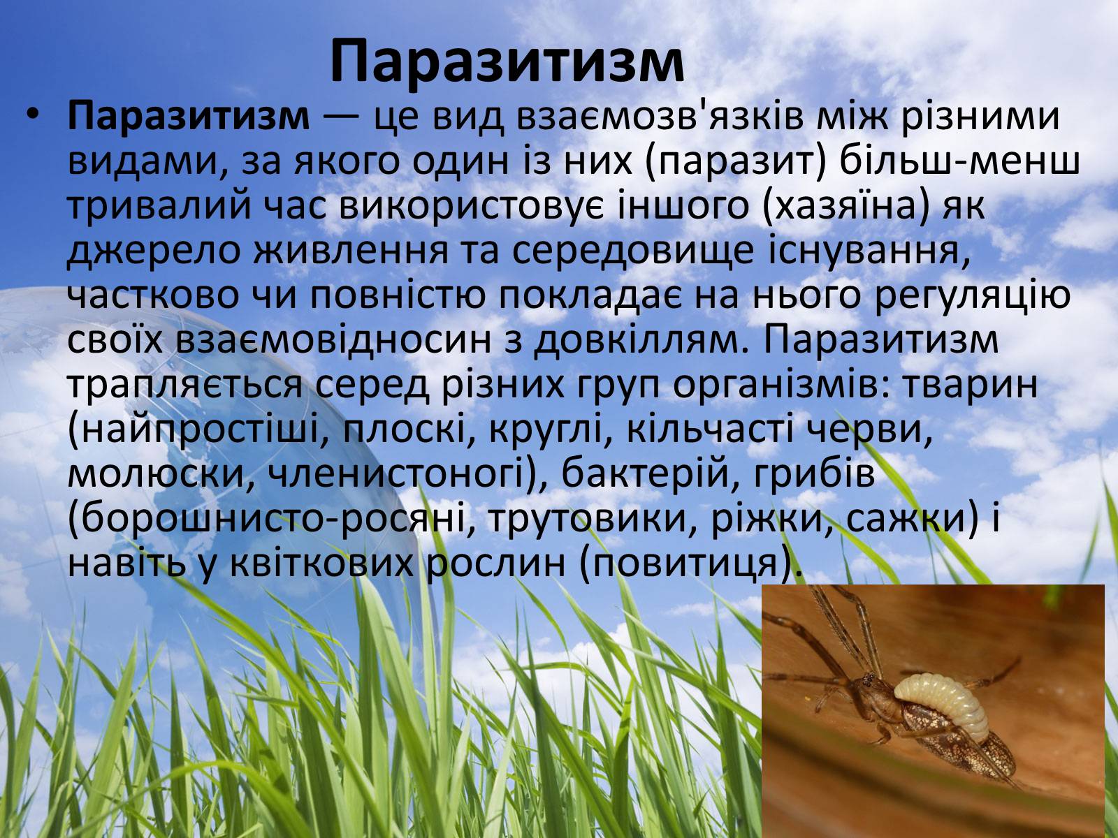 Презентація на тему «Типи взаємодії між живими організмами» - Слайд #7