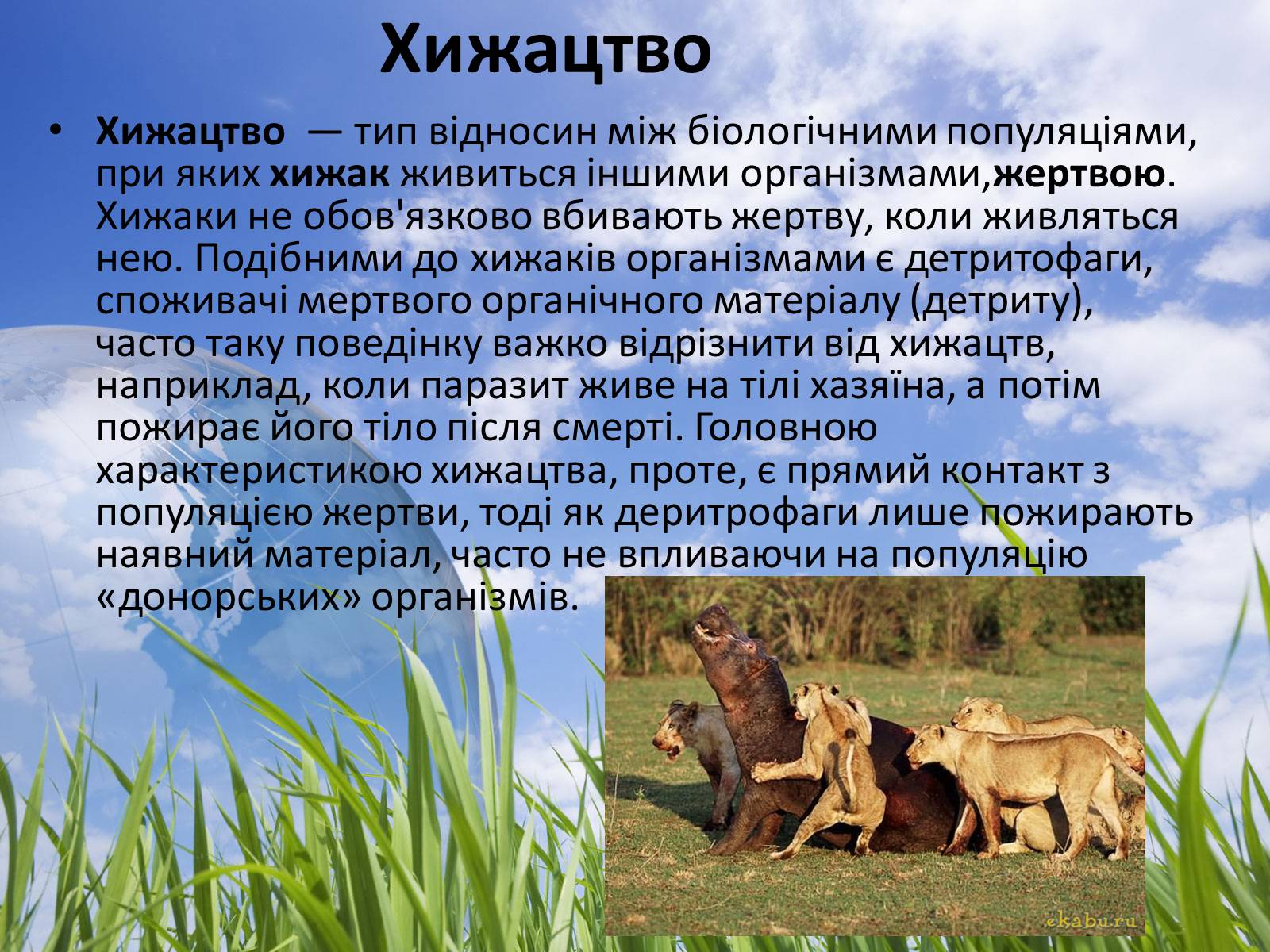 Презентація на тему «Типи взаємодії між живими організмами» - Слайд #8