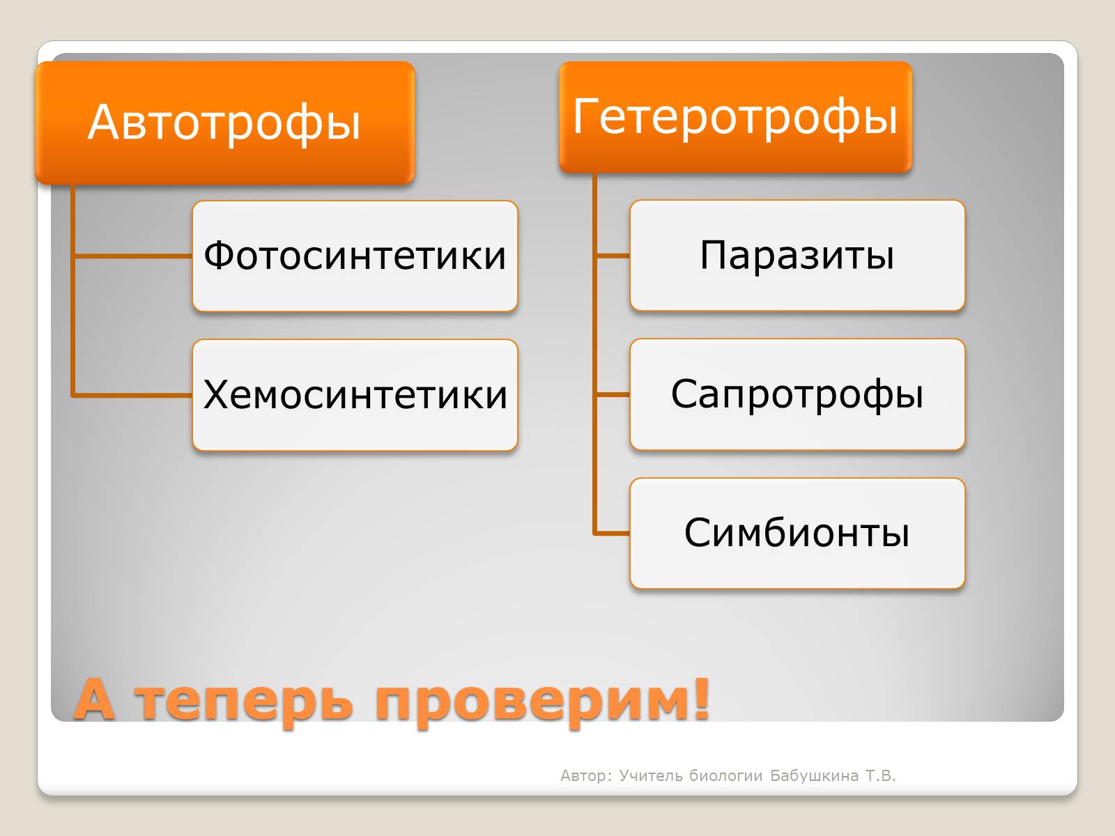 Презентація на тему «Царство Бактерии» - Слайд #11