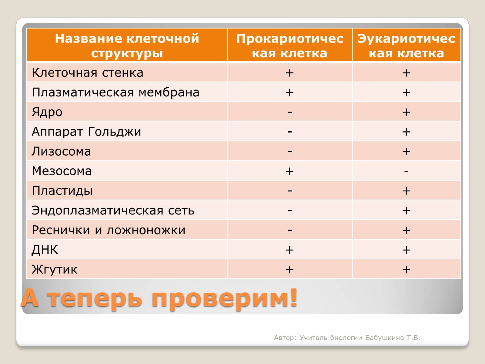 Презентація на тему «Царство Бактерии» - Слайд #6