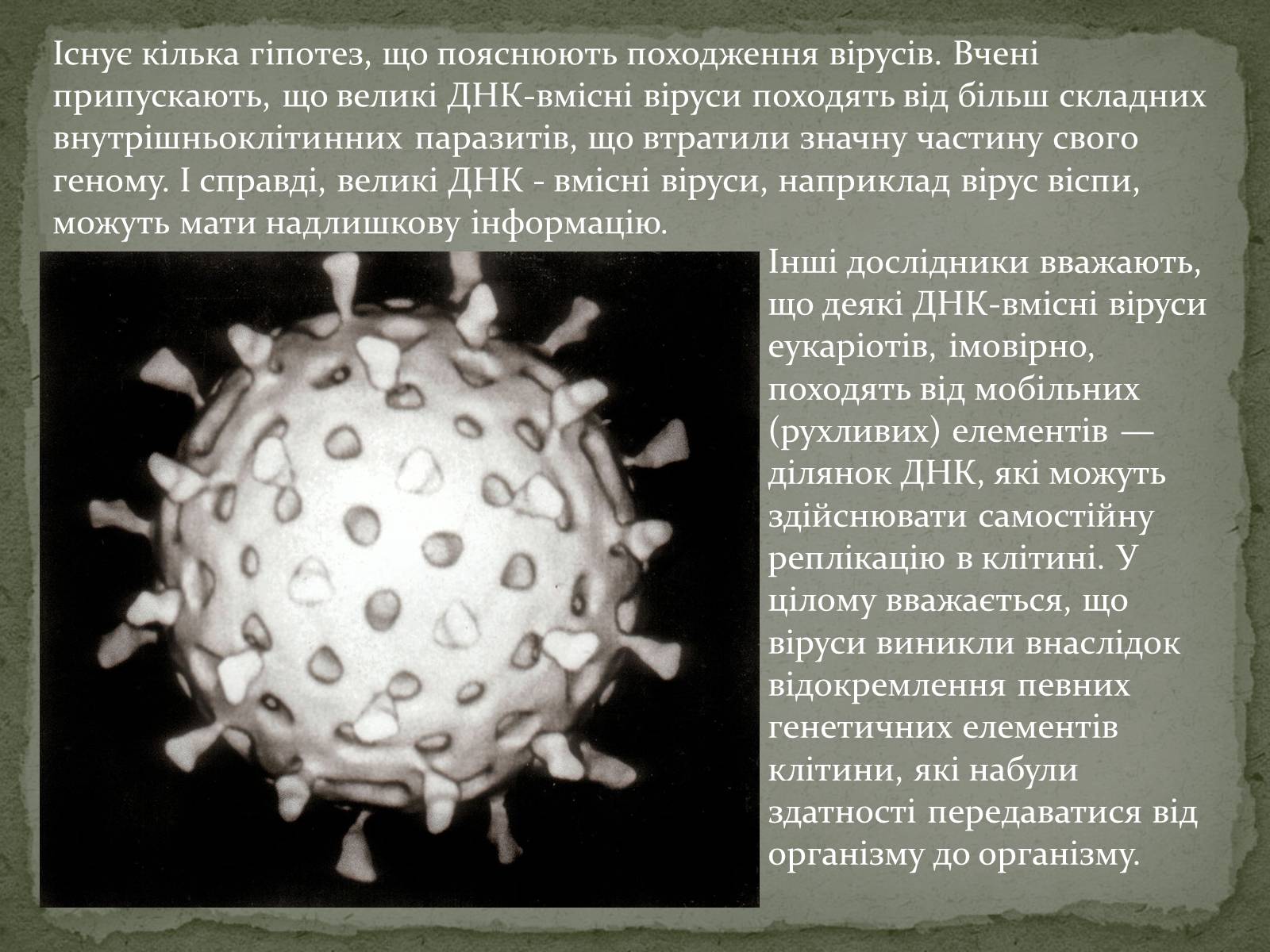 Презентація на тему «Віруси, їхня будова, життєвий цикл» (варіант 2) - Слайд #4