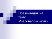 Презентація на тему «Человеский мозг»