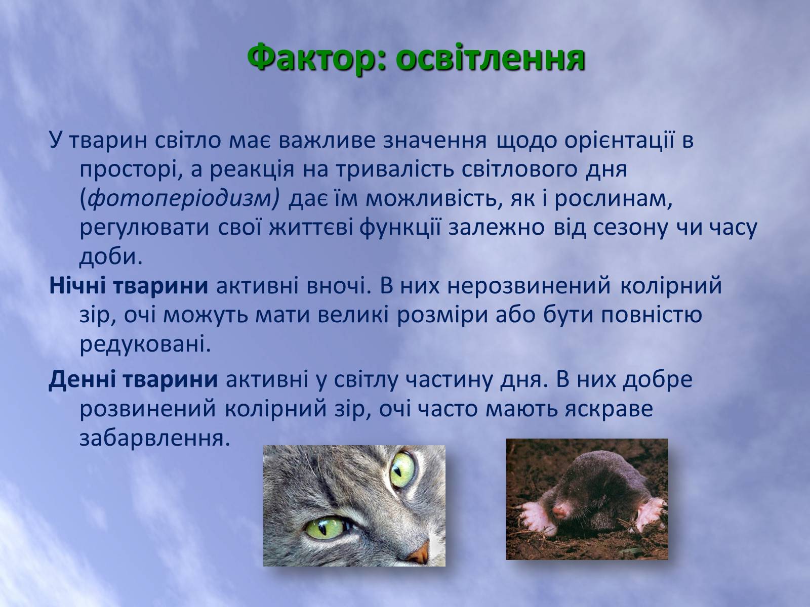 Презентація на тему «Наземно-повітряне середовище життя організмів» - Слайд #10