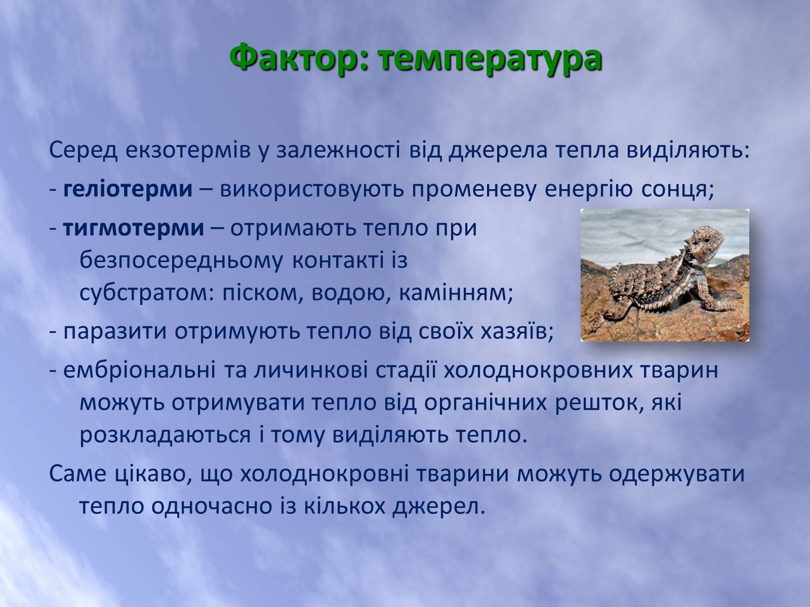 Презентація на тему «Наземно-повітряне середовище життя організмів» - Слайд #15