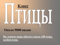 Презентація на тему «Птицы» (варіант 2)