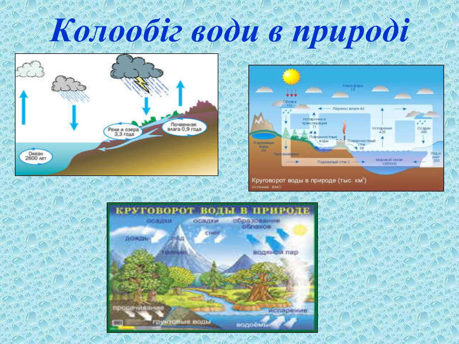 Презентація на тему «Вода в організмах» (варіант 2) - Слайд #18