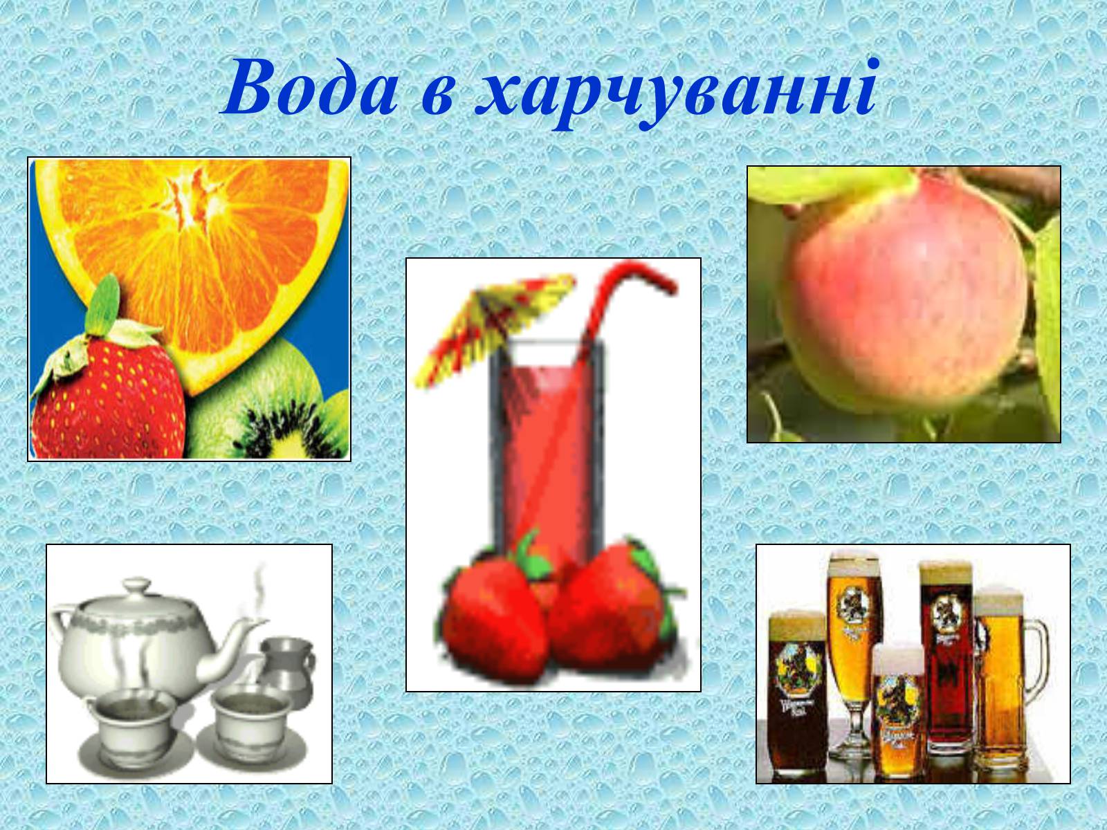 Презентація на тему «Вода в організмах» (варіант 2) - Слайд #6