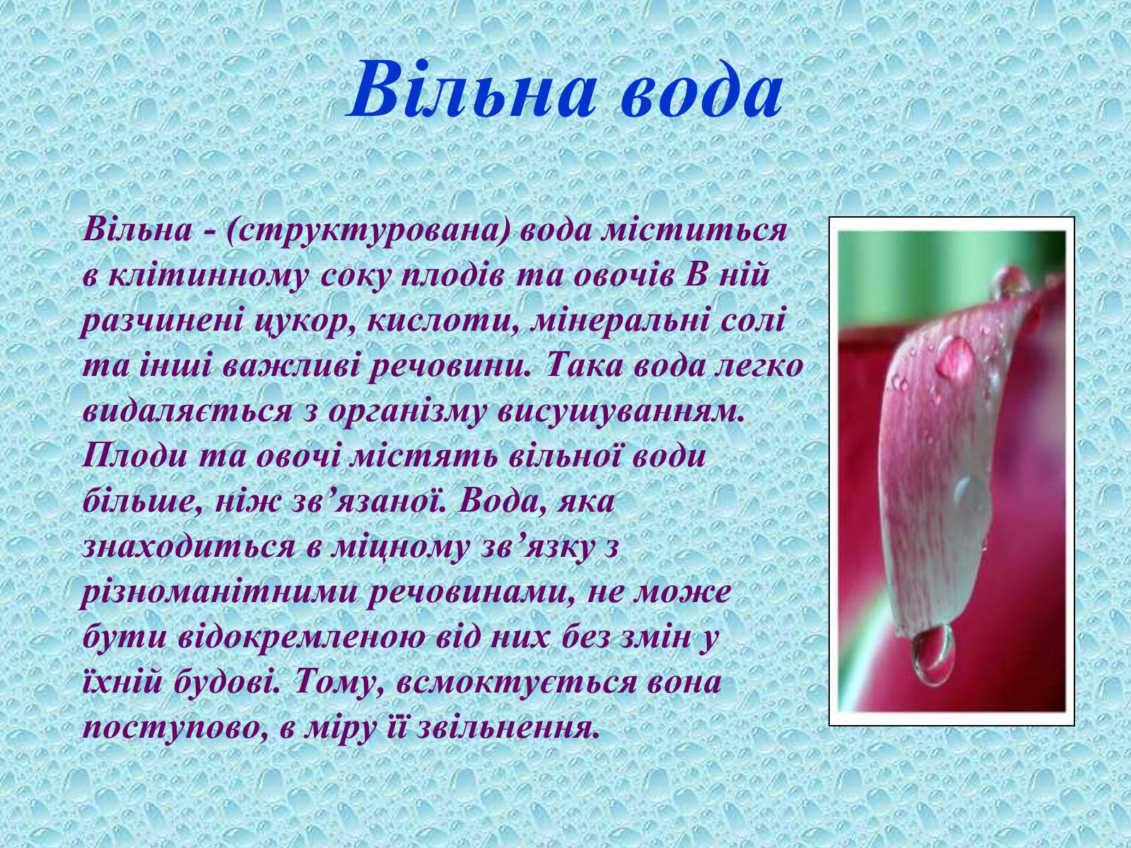 Презентація на тему «Вода в організмах» (варіант 2) - Слайд #8