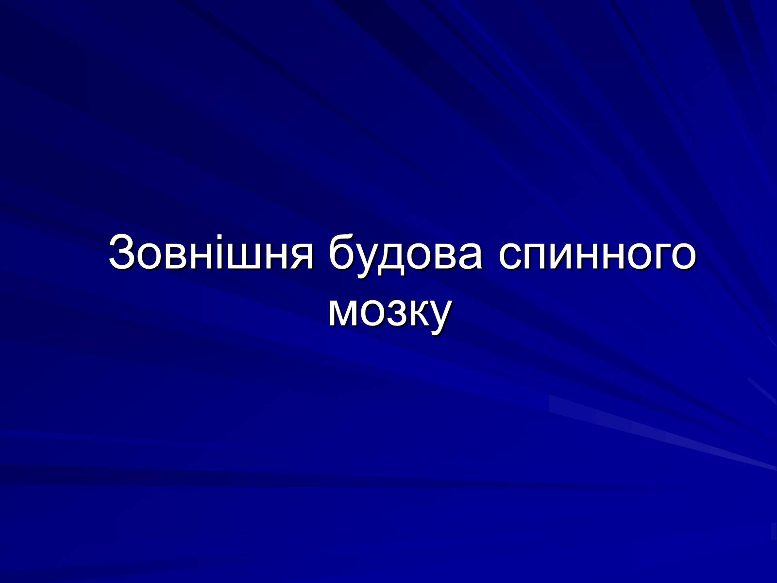 Презентація на тему «Спинний мозок» (варіант 1) - Слайд #2